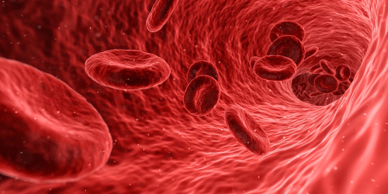 červené krvinky